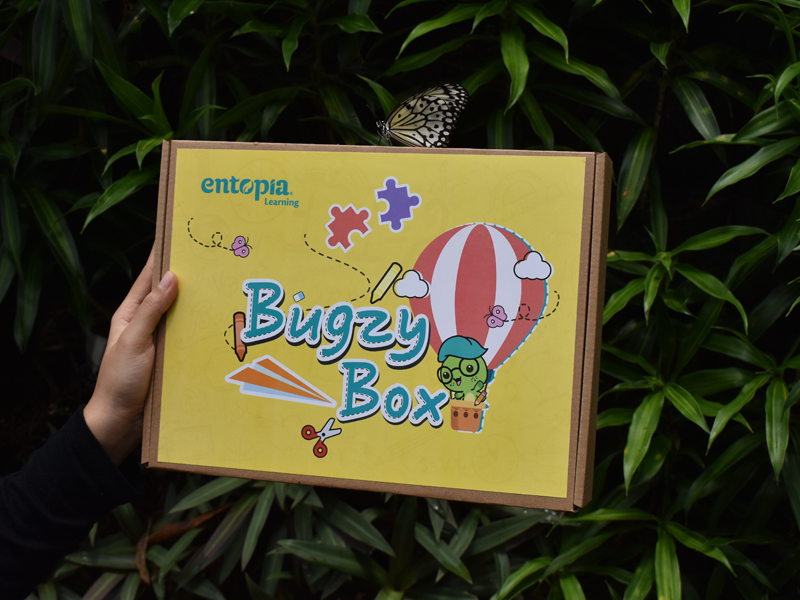 Entopia Bugzy Box
